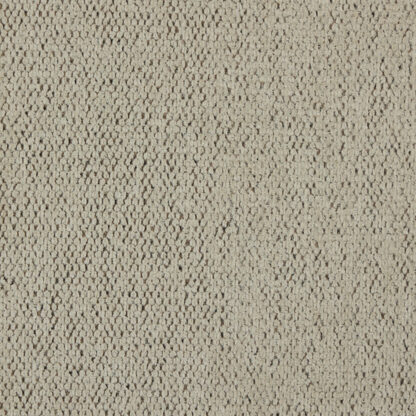 Cisco (SDP) - Porcelain
