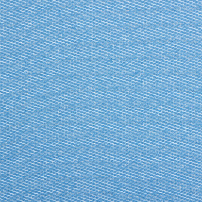 Libby (SDP) - Blueberry