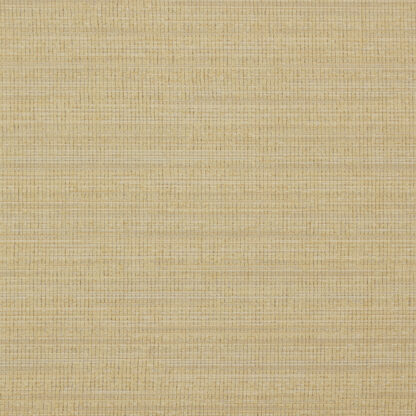 Remedy (SDP) - Tan