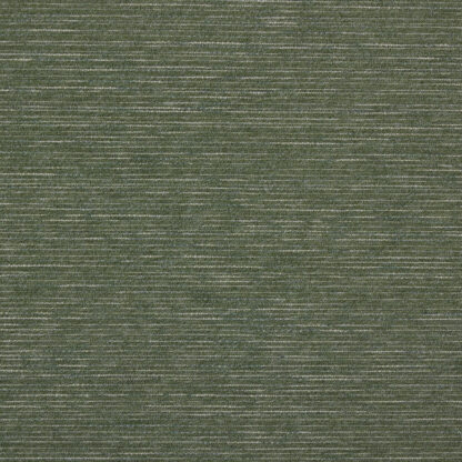 Serenade (SDP) - Moss