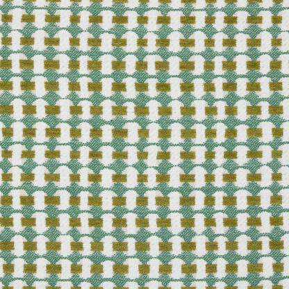 Cane - Botanical