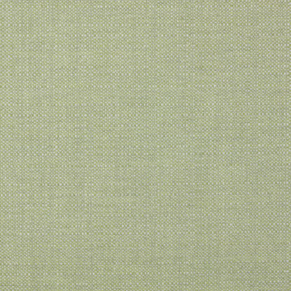 Danny - Seagrass