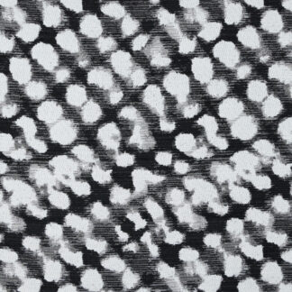 Time Warp - Caviar