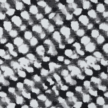 Time Warp - Caviar