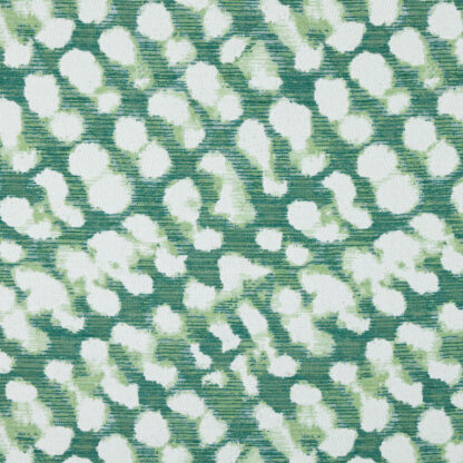 Time Warp - Leaf