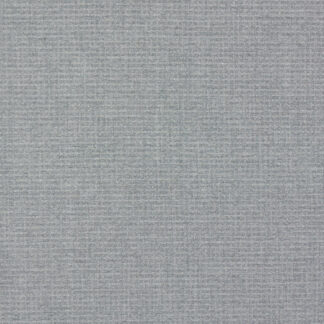 Westerly - Dolphin