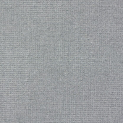 Westerly - Dolphin